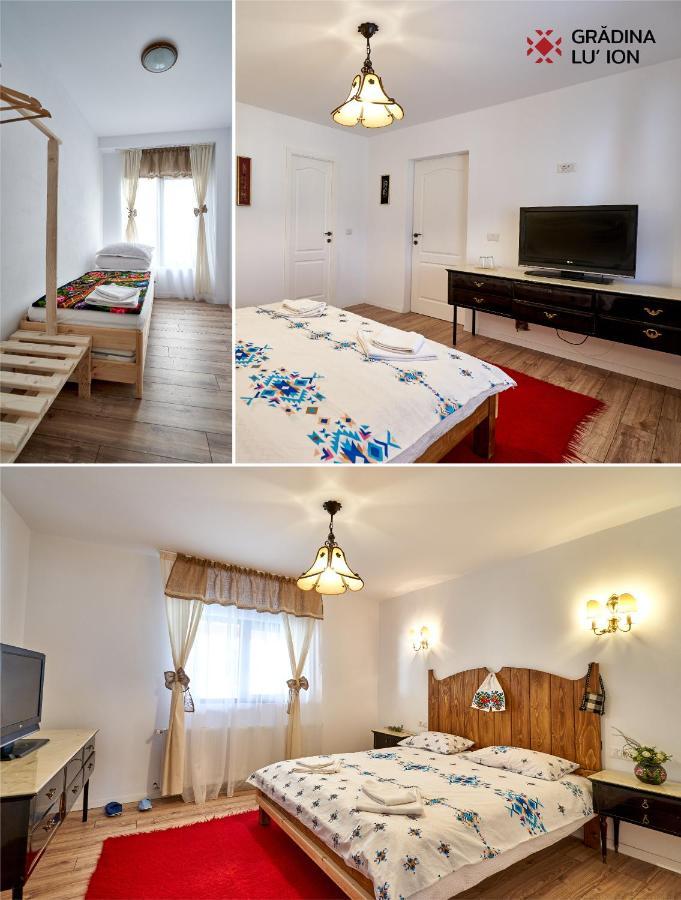 Gradina Lu' Ion "A Home Away From Home" (Adults Only) Vişeu de Sus 외부 사진