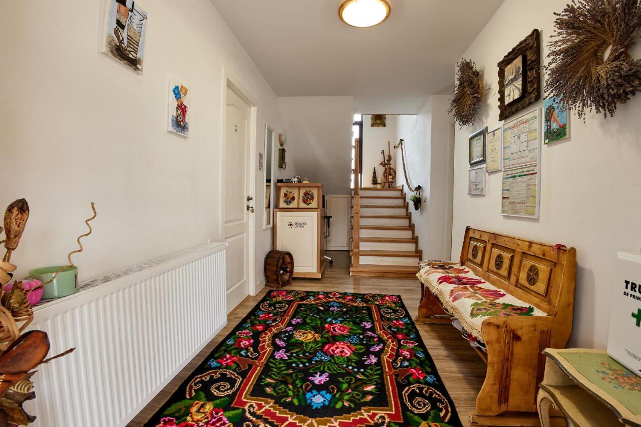 Gradina Lu' Ion "A Home Away From Home" (Adults Only) Vişeu de Sus 외부 사진