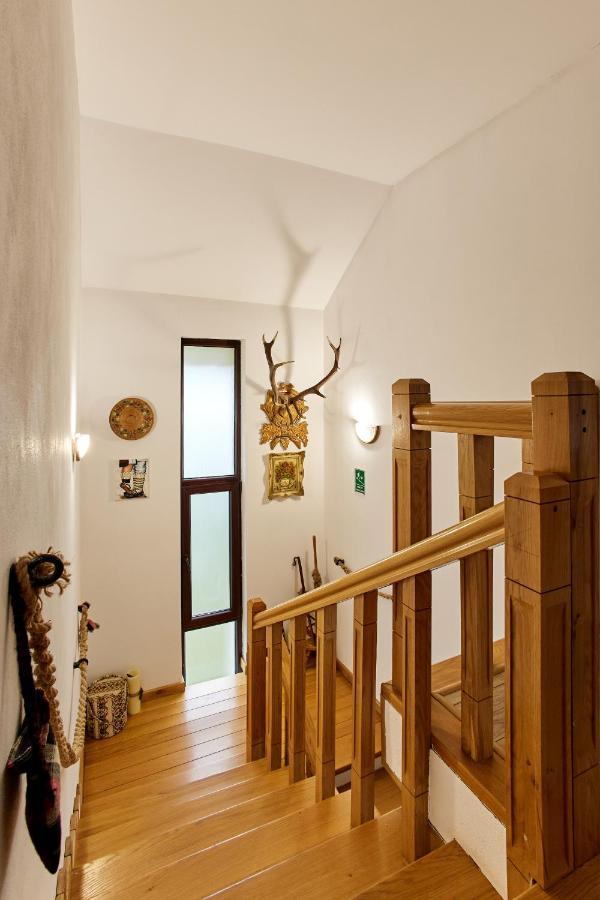 Gradina Lu' Ion "A Home Away From Home" (Adults Only) Vişeu de Sus 외부 사진