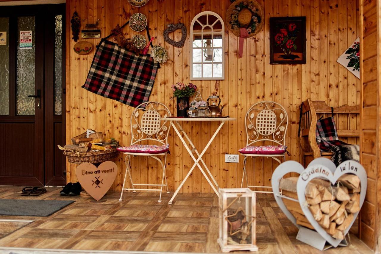 Gradina Lu' Ion "A Home Away From Home" (Adults Only) Vişeu de Sus 외부 사진