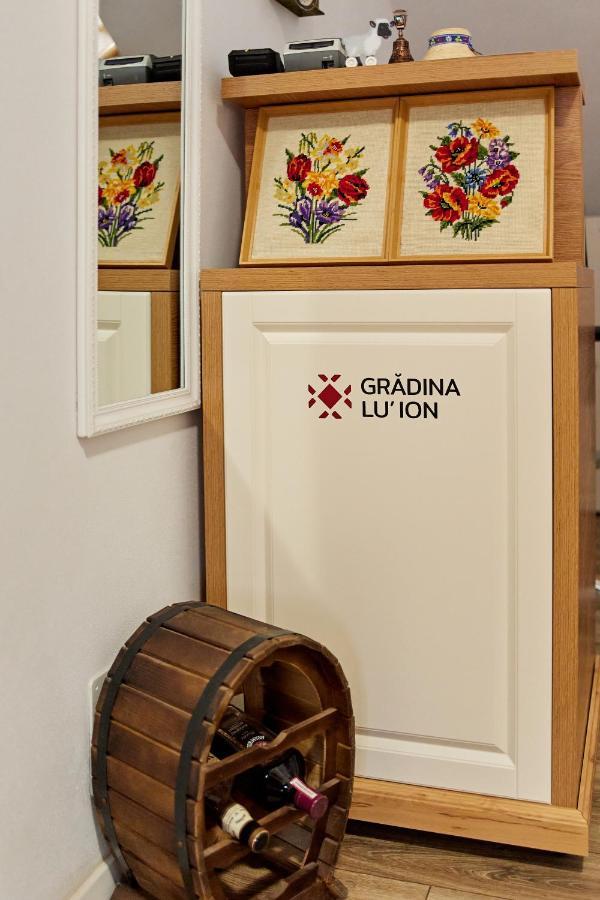 Gradina Lu' Ion "A Home Away From Home" (Adults Only) Vişeu de Sus 외부 사진