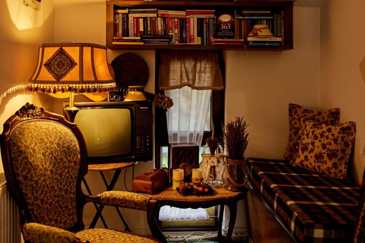 Gradina Lu' Ion "A Home Away From Home" (Adults Only) Vişeu de Sus 외부 사진