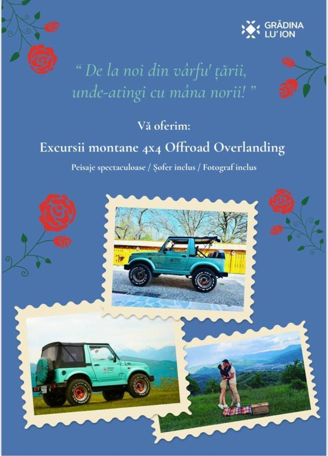 Gradina Lu' Ion "A Home Away From Home" (Adults Only) Vişeu de Sus 외부 사진
